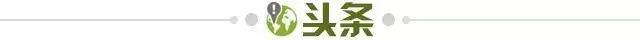 开云官方-【早报】阿根廷愿踢美洲杯！主要对手退赛，夺冠稳了？